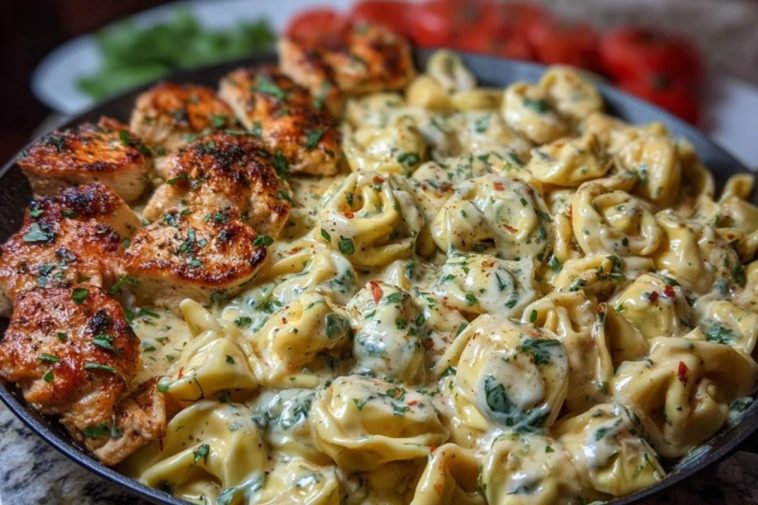 Easy Creamy Velveeta Chicken Tortellini with Mozzarella Garlic Sauce One-Pot Dinner