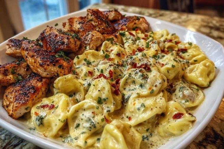 Spicy Garlic Chicken Tortellini in Cheesy Alfredo Cream