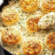 Creamy Chicken and Biscuits