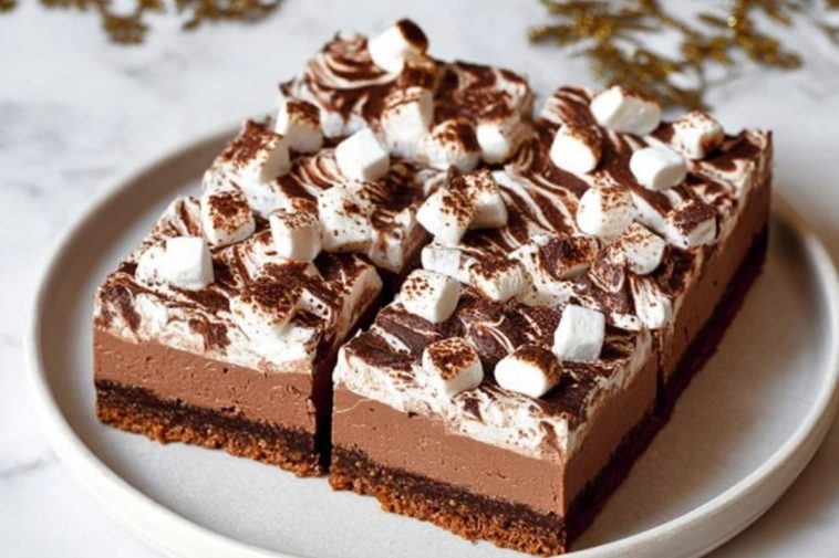 Cozy Hot Chocolate Cheesecake Bars