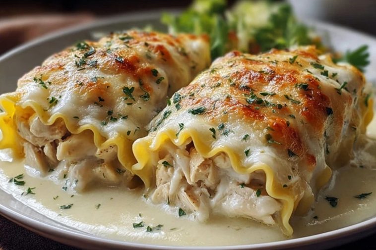 Easy Chicken Alfredo Lasagna Rolls