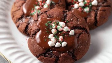 Chewy Hot Cocoa Cookies